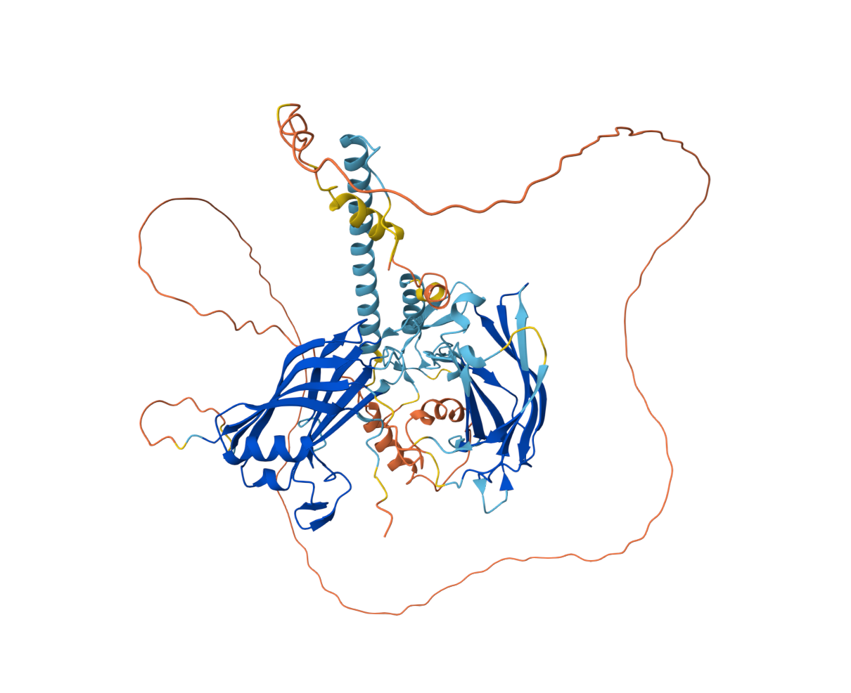 Placeholder: Slp-4 protein structure